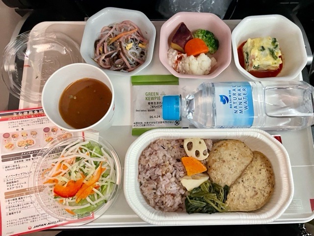 JAL機内食(スパイシーハンバーグ)