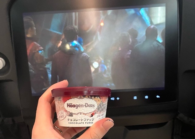 JAL機内食(ハーゲンダッツ)