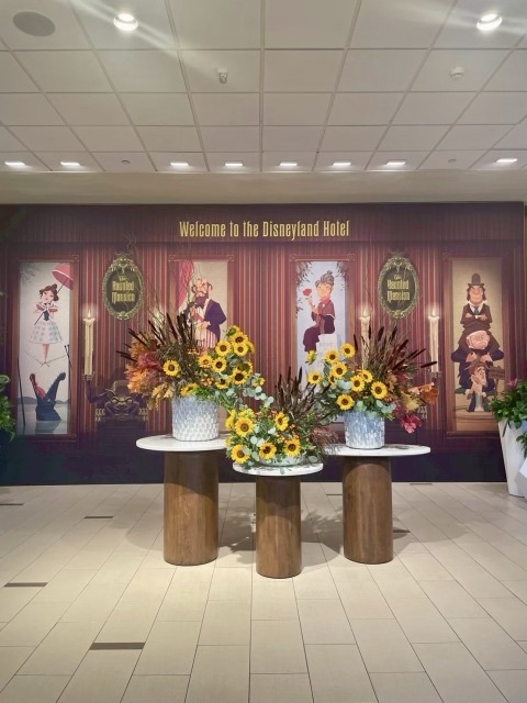 ディズニーランドホテル入口