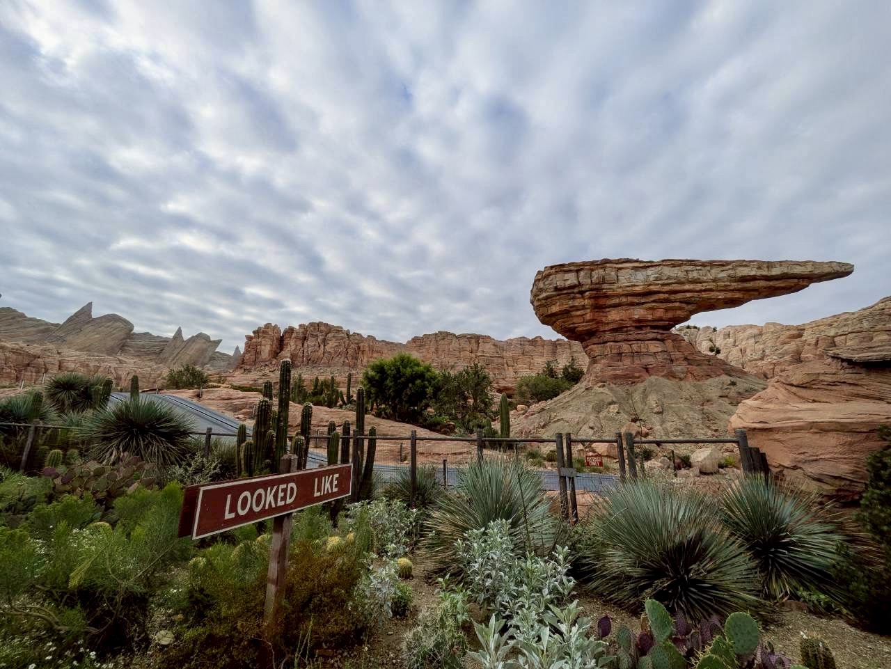 カリフォルニアアドベンチャー　カーズランド