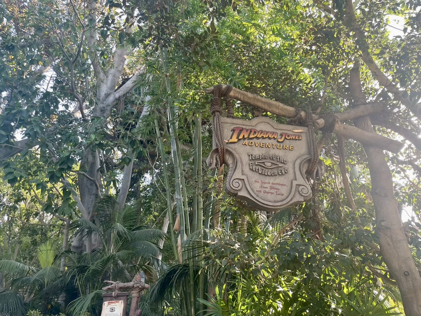 ディズニーランド　インディー・ジョーンズ・アドベンチャー